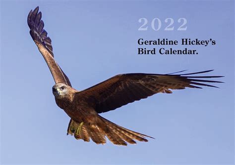 Bird Calendar 2022 Geraldine Hickey