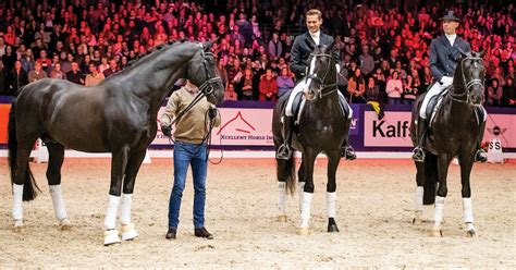 Edward gal riding moorland totilas winner of the fei world cup, award presented by nick jacobs (chairman of rowan asset management) and stephen clarke (president of the ground jury). Dressage World Champion and Sire Totilas Dies at 20