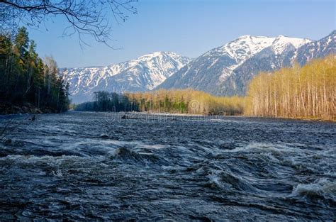 River Snezhnaya In Mountains Ridge Khamar Daban Stock Photo Image Of
