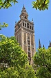 Seville Cathedral - Nomads Travel Guide