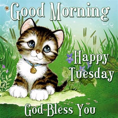 Good Morning Happy Tuesday God Bless You Cute Quotes Pictures Photos