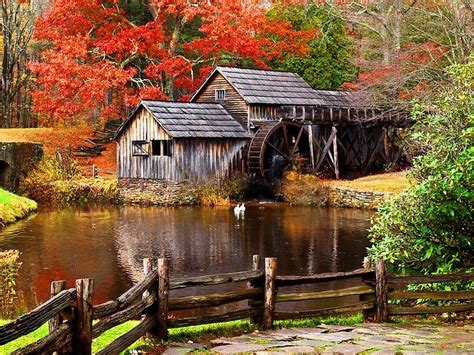 Nature Water Autumn Fall Forest Watermill Mill Colors