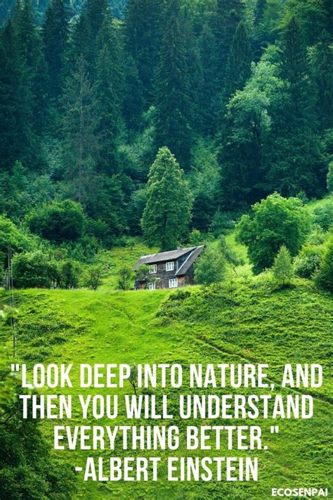 Appreciate Nature Quotes Shortquotescc
