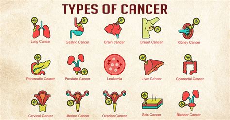 Types Of Cancer Symptoms Causes And Treatment Health Reactive Body