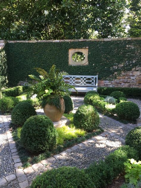 Walled Courtyard Garden With Boxwood And Fig Vine French Country