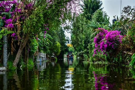 Xochimilco Mexico City Floating Gardens Aztecs
