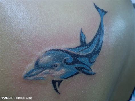 Dolphin Tattoos 20 Of The Greatest Dolphin Designs