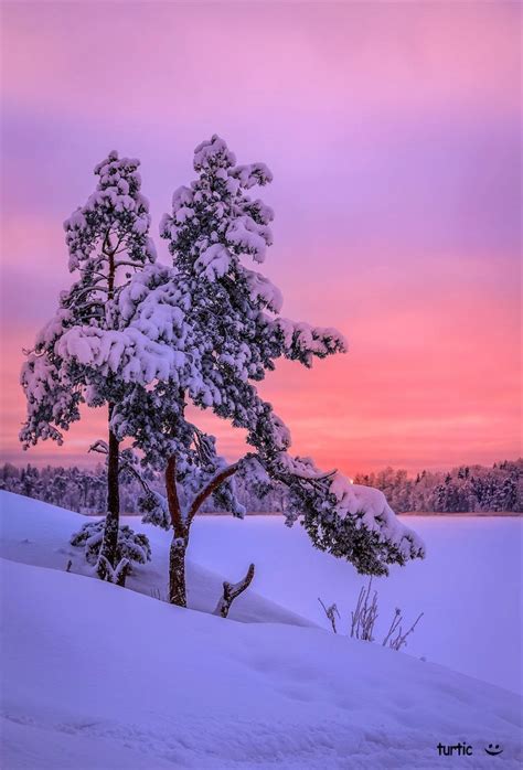 🇫🇮 Winter Twilight Finland By Turtic Bn 🌅 Winter Sunset Winter