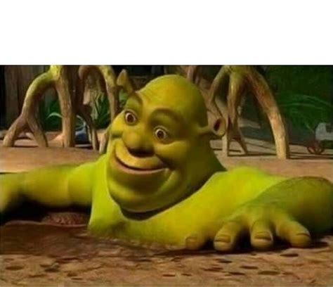 Shrek Meme Templates Imgflip