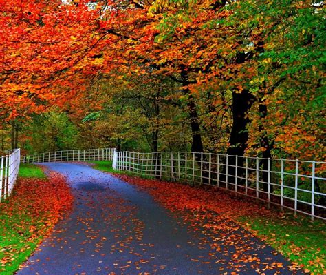 Nature & landscape hd wallpapers in high quality hd and widescreen resolutions from page 259. Wallpaper Most Beautiful Nature - HD Wallpapers , HD ...