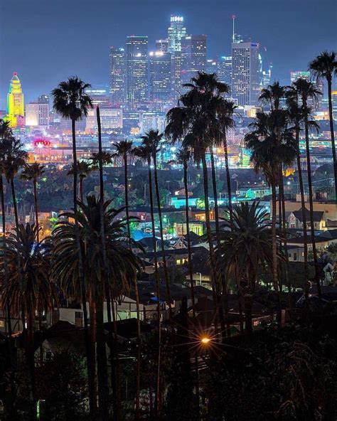 City Lights And Palm Trees Downtown La At Night Killakristennn