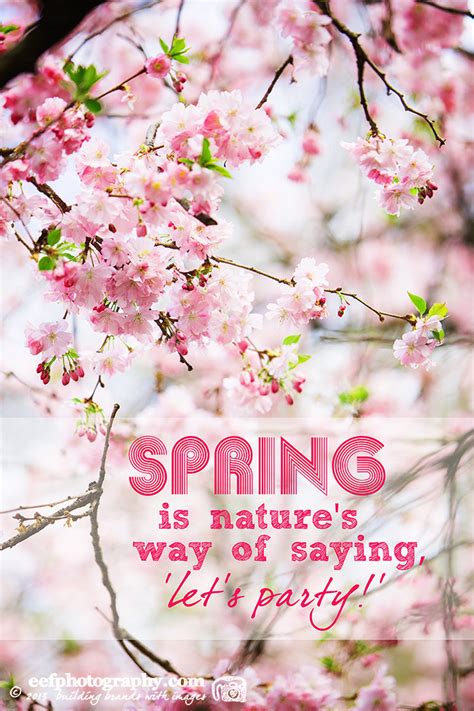 Quotes About Spring Coming Quotesgram