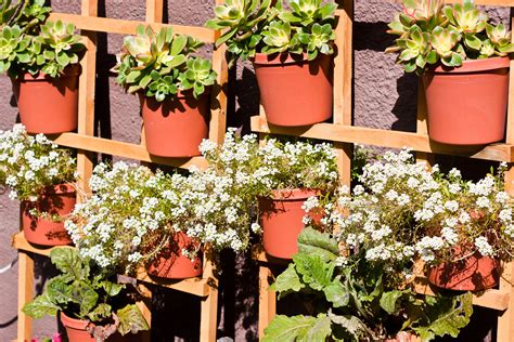 Outdoor Summer Flower Pot Arrangement Ideas With Pictures