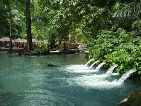 20 tempat wisata alam tersem. Ticket Masuk Sesaot - Sejuknya Aik Nyet Dan Wisata Alam Hutan Sesaot Di Pulau Lombok Cendana ...
