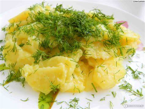 Молочно картофельная диета Картофельная диета - « Если не сорваться,то может быть эффективной Картофельная диета - « Если не сорваться,то может быть эффективной Молочно картофельная диета