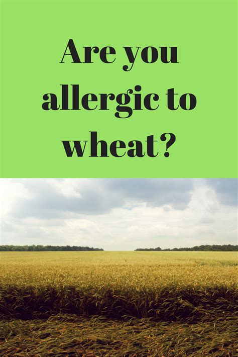 7 Signs You Are Allergic To Wheat