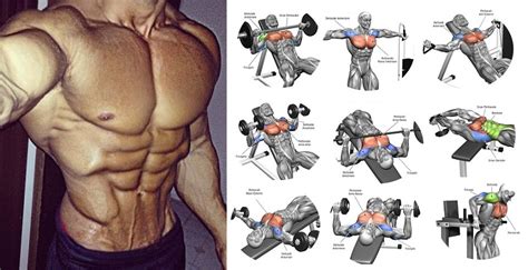 How To Get A Bigger Chest 7 Easy Chest Exercises To Get Your Pecs