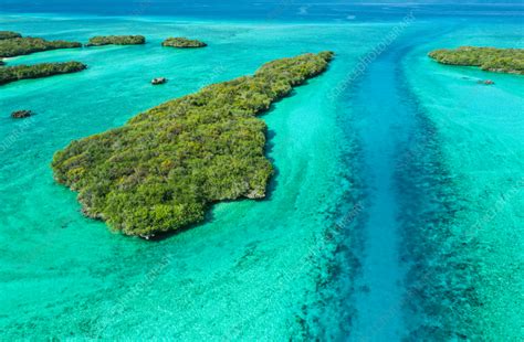 Aerial View Of The West Channels Aldabra Atoll Seychelles Stock
