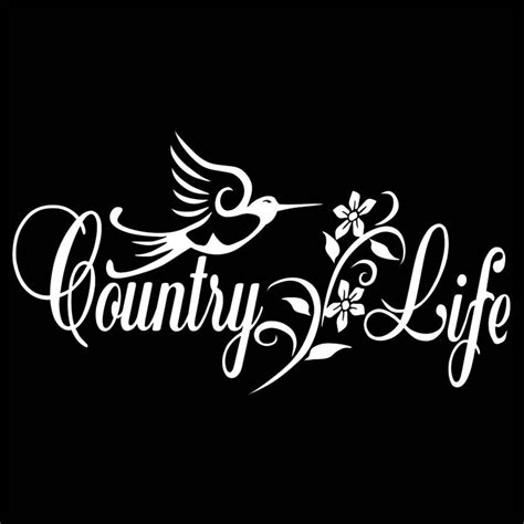 11″ Country Life Humming Bird Decal Country Life Life Baby Stuff