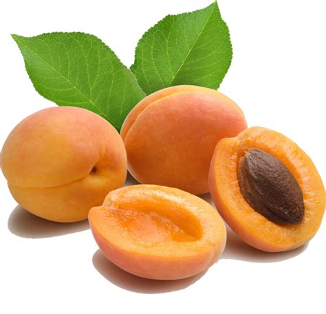 Apricot Png Images Transparent Background Png Play