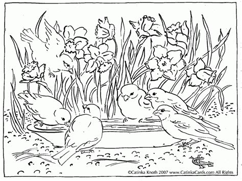 Below is our collection of spring coloring pages. Cool Spring Coloring Pages For Adults Designs | Dibujos ...