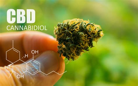 what does cbd feel like its uses and benefits