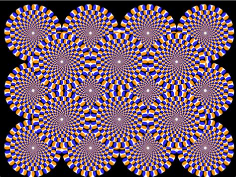 Totally Mind Bending Optical Illusions Website Design Inspiration
