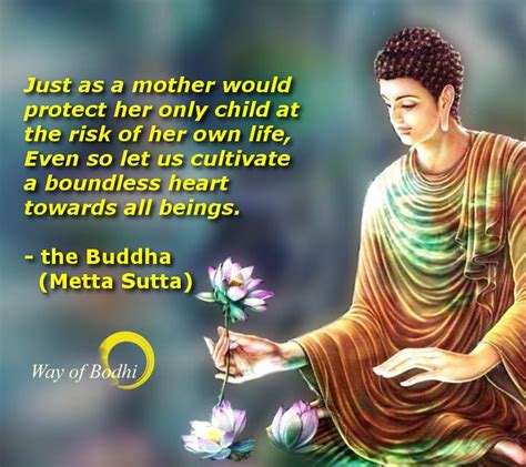 The Boundless Heart Of Loving Kindness Metta Way Of Bodhi