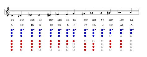 Recorder Notes fingering chart | Easy Music
