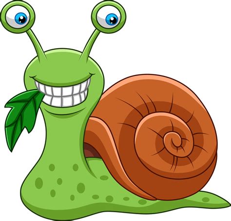 Snail Vector Art Icons And Graphics For Free Download