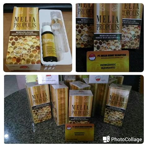 Resmi Propolis Melia Ml Harga Mari Sehat