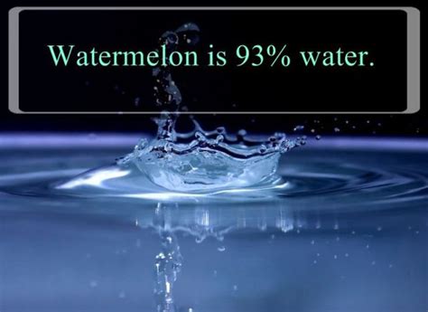 Interesting Facts About Water 25 Pics