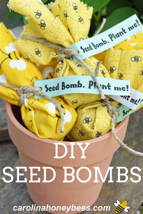 How To Make Seed Bombs With Air Dry Clay Seed Bombs Fun Garden