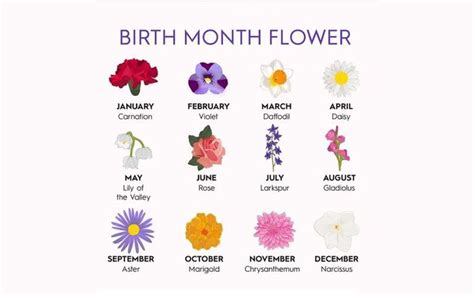 12 Korean Birth Flower For Each Month With Meanings To Know About