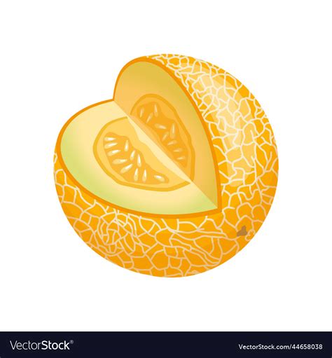 Melon Yellow Cartoon Royalty Free Vector Image