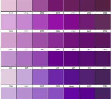 A purple color chart is all about sophistication and elegance. Pin by Rachael L on PURPLE PURPLE | Shades of purple chart, Purple color chart, Purple colour shades