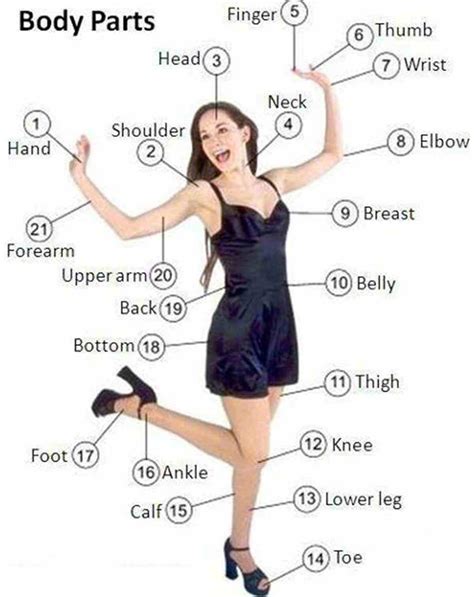 English Vocabulary Parts Of The Body Eslbuzz Learning English