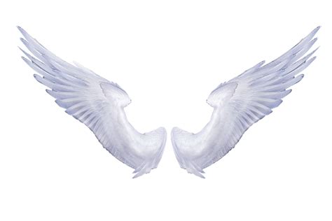 White Angel Wings Wallpaper Clipart Best