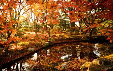 Japanese Autumn Desktop Wallpapers Top Free Japanese Autumn Desktop