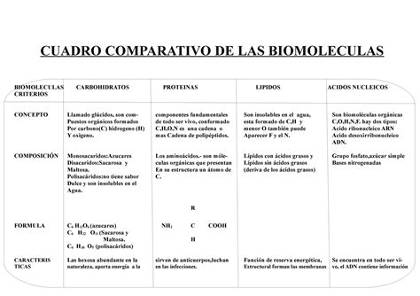 Cuadro Comparativo De Las Biomoleculas Cuadro Comparativo De Las