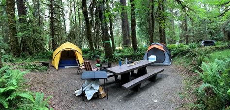 Olympic National Park Camping Change Comin