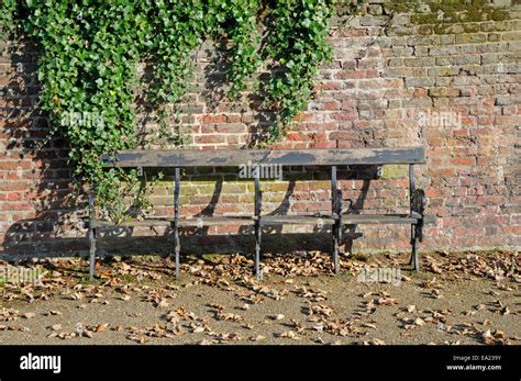 London England Uk Empty Bench In Hampstead Autumn Stock Photo Alamy