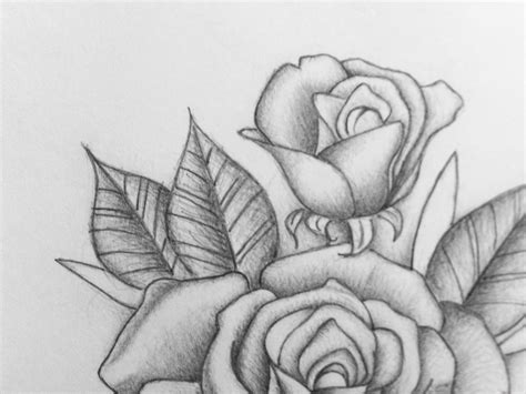 Delicate Pencil Rose Romantic Rose Sketch Flower Drawing Etsy