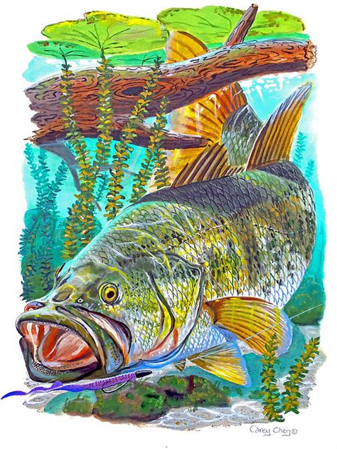 Largemouth Bass By Carey Chen Largemouth Bass Painting Largemouth