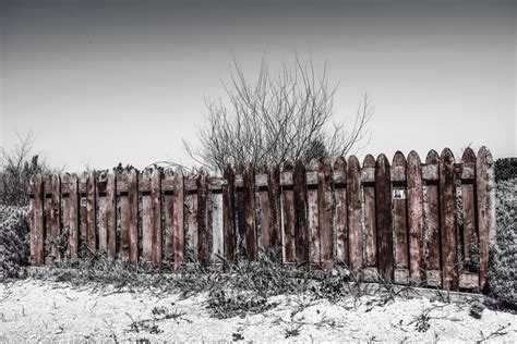 Free Images Tree Snow Winter Fence Wood Countryside Frost Wall