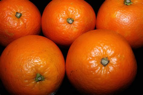 Oranges Free Stock Photo Public Domain Pictures