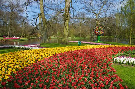 Fonds Decran Pays Bas Parc Printemps Étang Tulipes Keukenhof Arbres