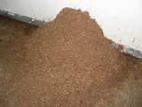 Termite Dirt Piles