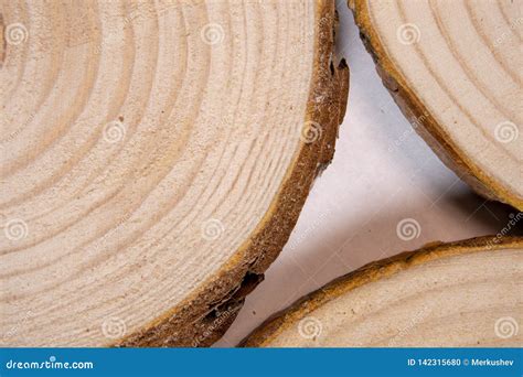 Pine Tree Trunk Cross Section With Annual Rings Lumber Piece Close Up