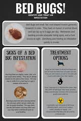 Images of Bug Treatment For Dogs
